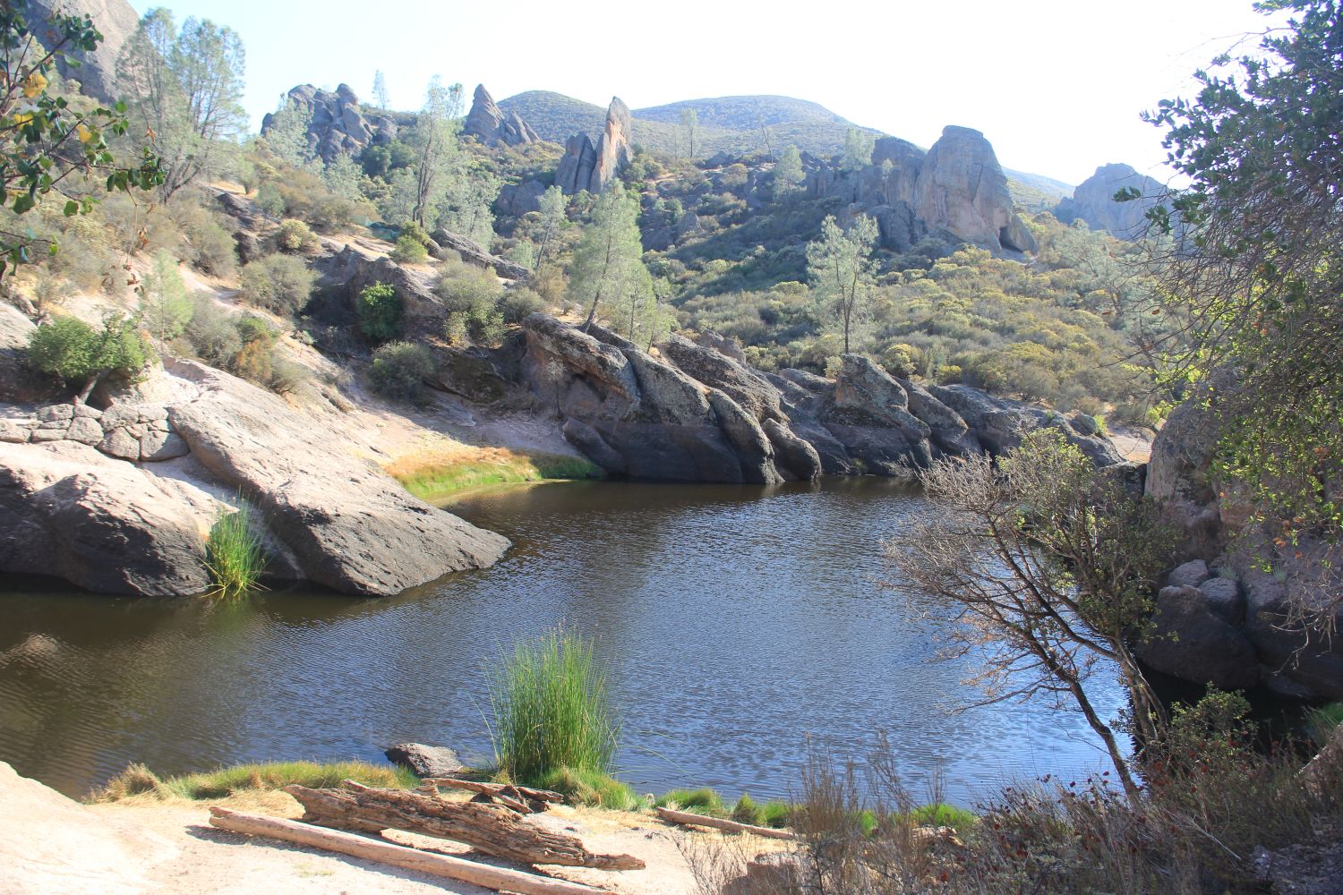 Bear Gulch Cave Trail 